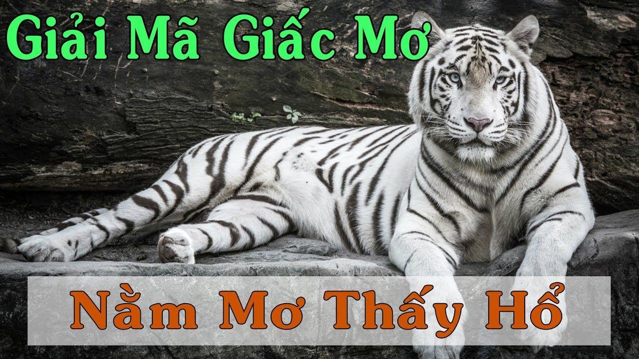 game bet xổ số miền trung