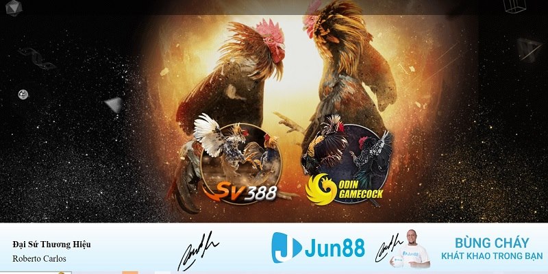 game bet xổ số miền nam hàng tuần