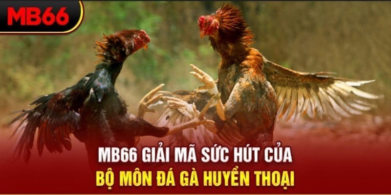 game bet long bảo trong baccarat là gì