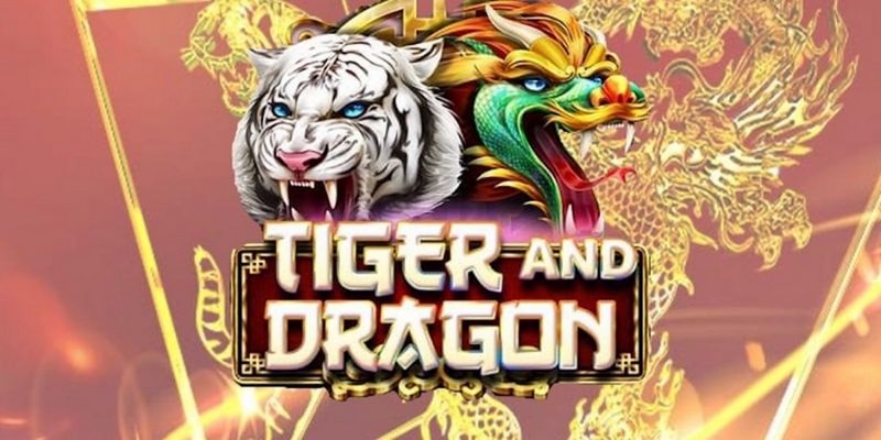 game bet cá cược tiếng anh là gì