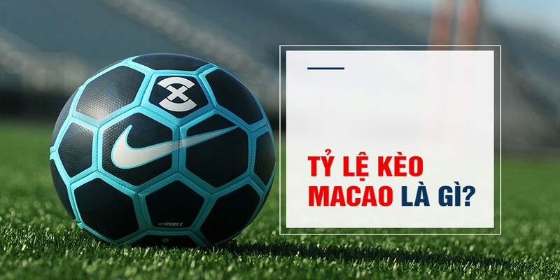 game bet Trăm Knorr
